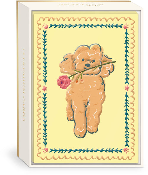 Friendly Doodle Boxed Card Set