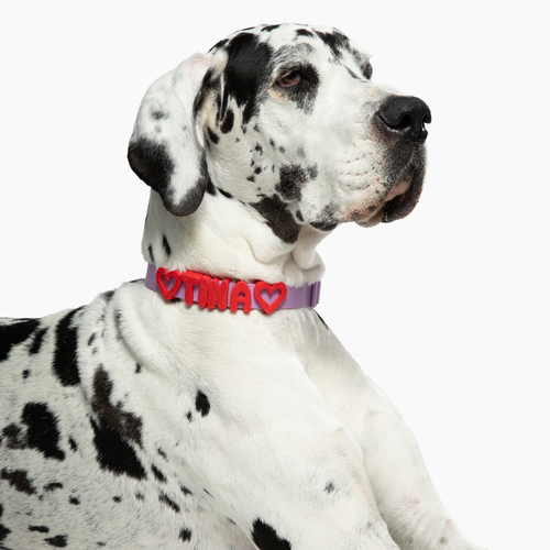 Silicone Dog Collar Charms