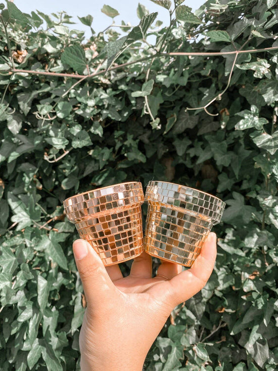 Mini 2.3 Inch Disco Planter Pot - Rose Gold