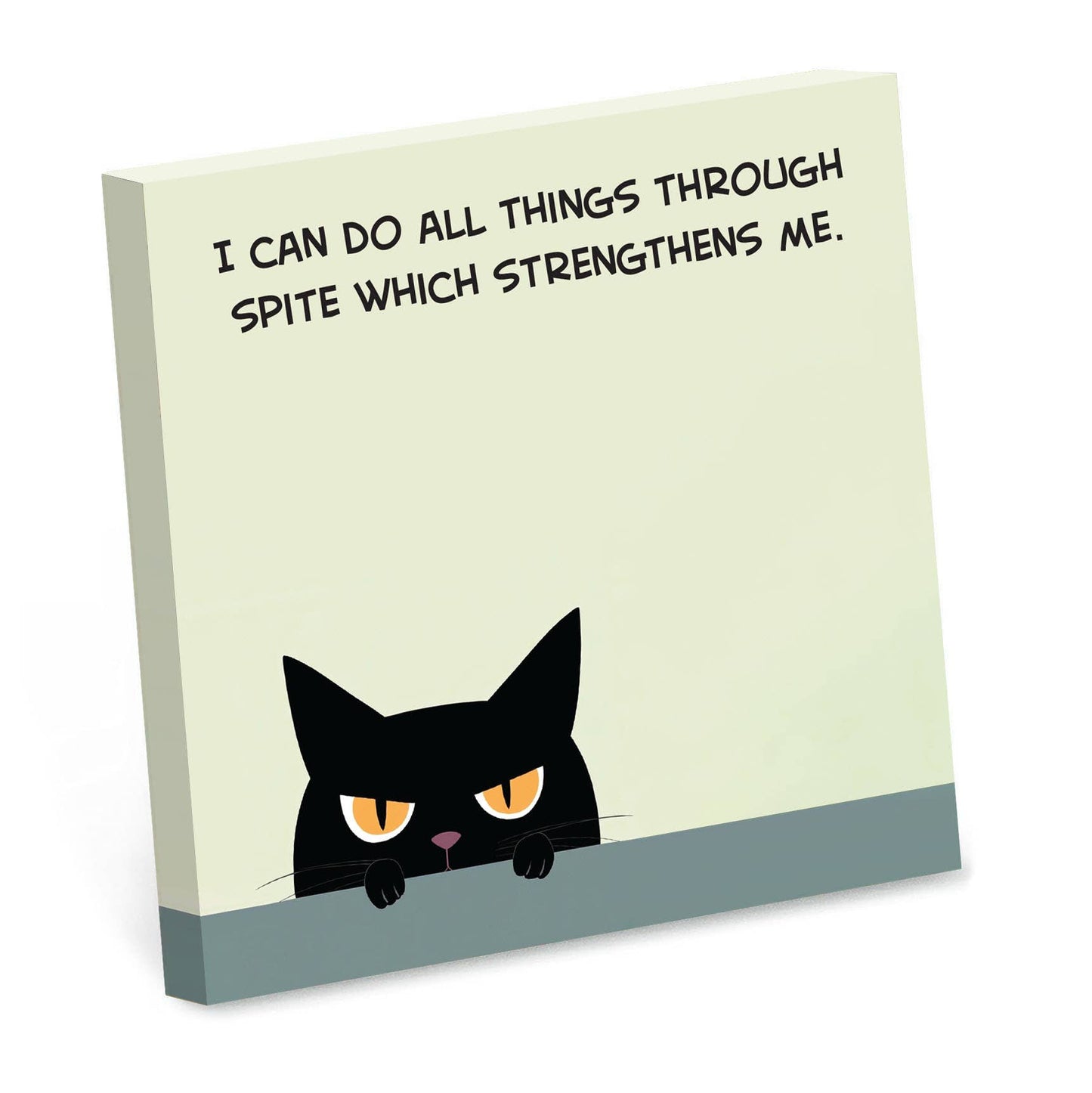 I Can Do All Things Through Spite Sticky Notes