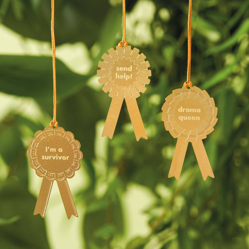 Brass Plant Awards Set - Survivor, Send Help, Drama Queen