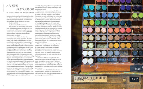 Color Curious Book