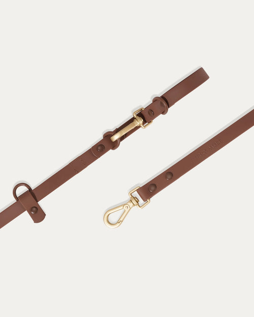 Wander! Multiway 6ft Leash - Cocoa