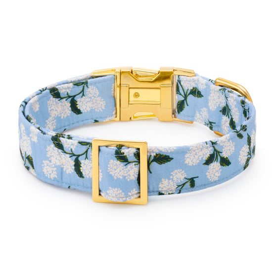 Rifle Paper Co. x TFD Hydrangea Spring Dog Collar: XS