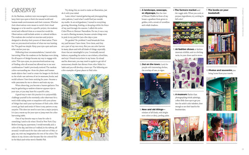 Color Curious Book