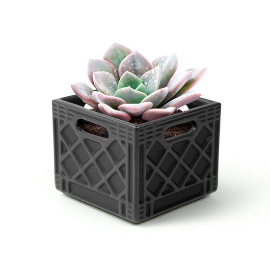 Fancy Plants Milk Crate Planter