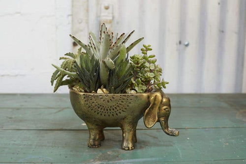 Gold Elephant Planter Pot