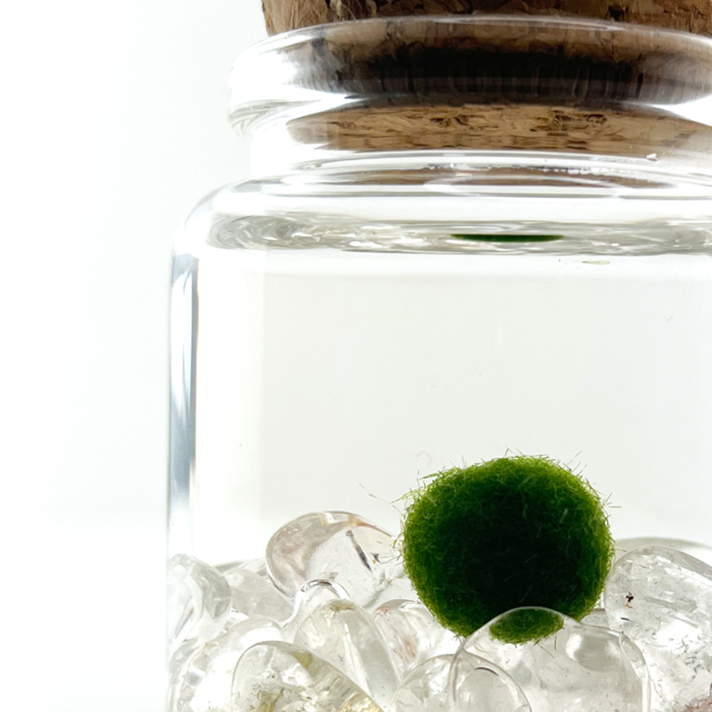 Moss Rico - Clear Quartz