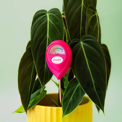 Moisture Meter - Hot Pink