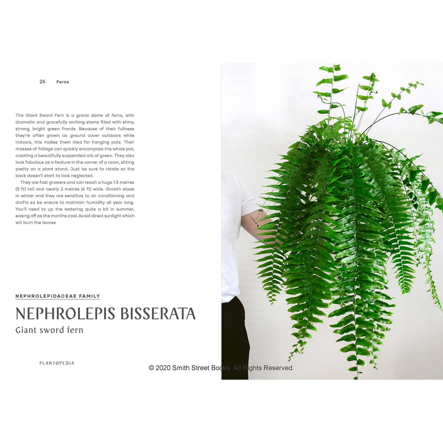 Plantopedia Book