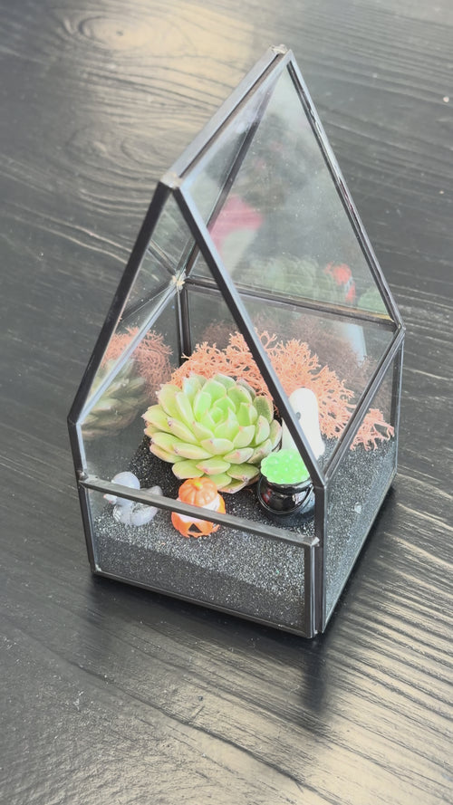 Halloween Terrarium Workshop