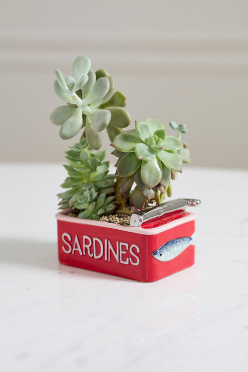 Sardine Tin Planter