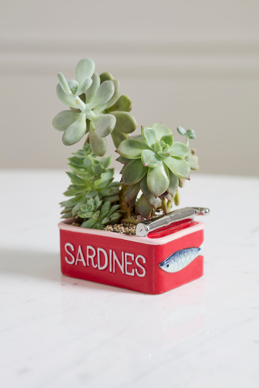 Sardine Tin Planter