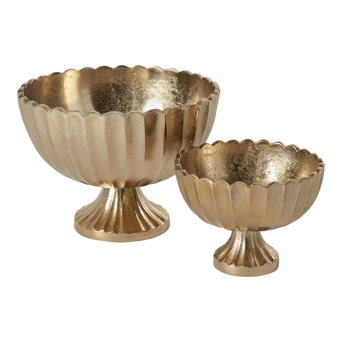 Gold Scallop Compote