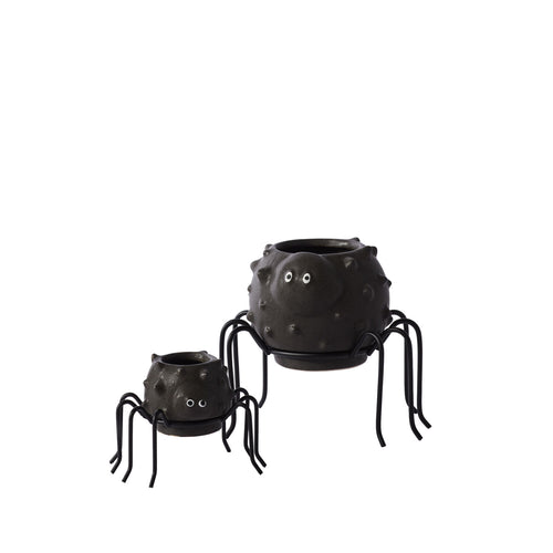 Spider Succulent Pot