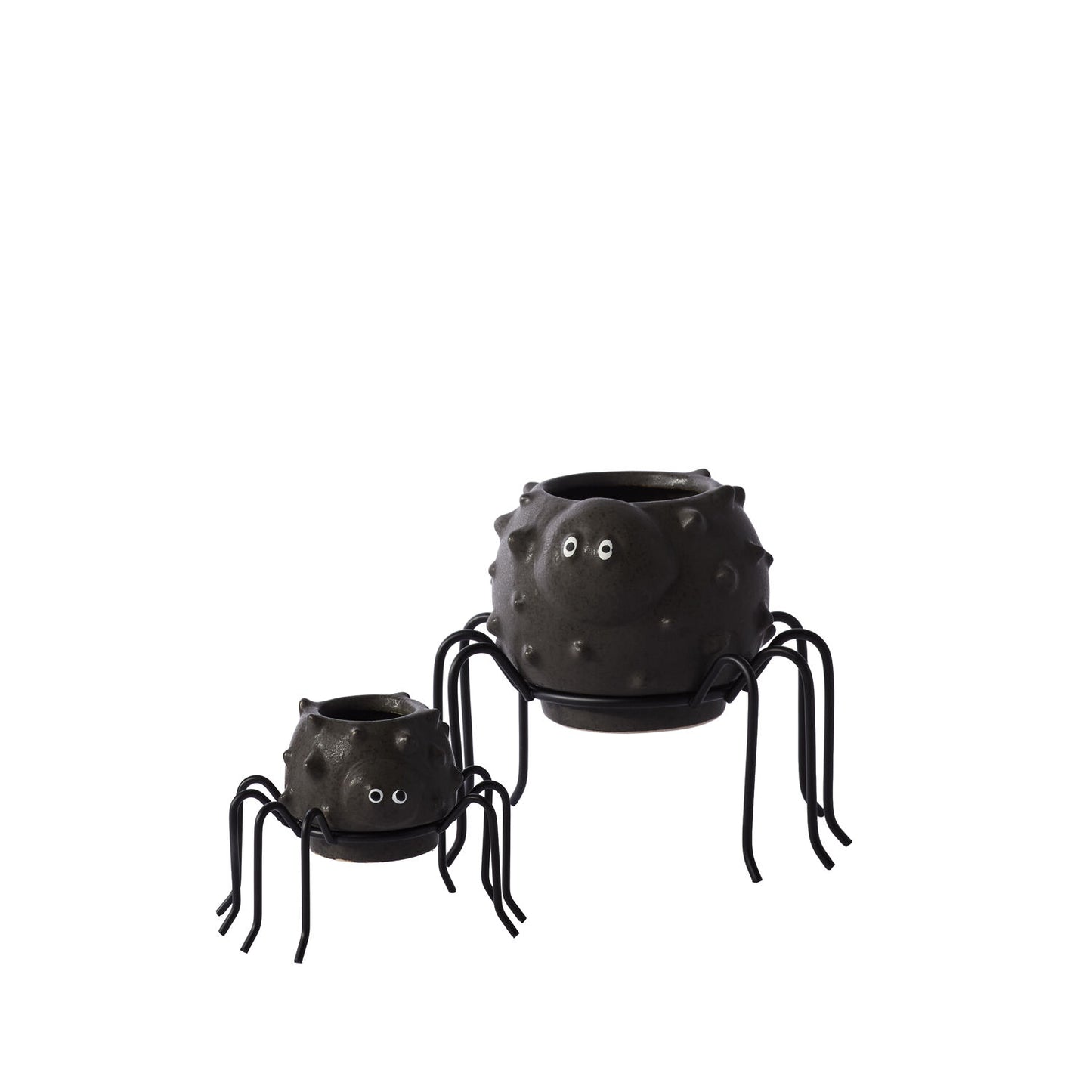 Spider Succulent Pot