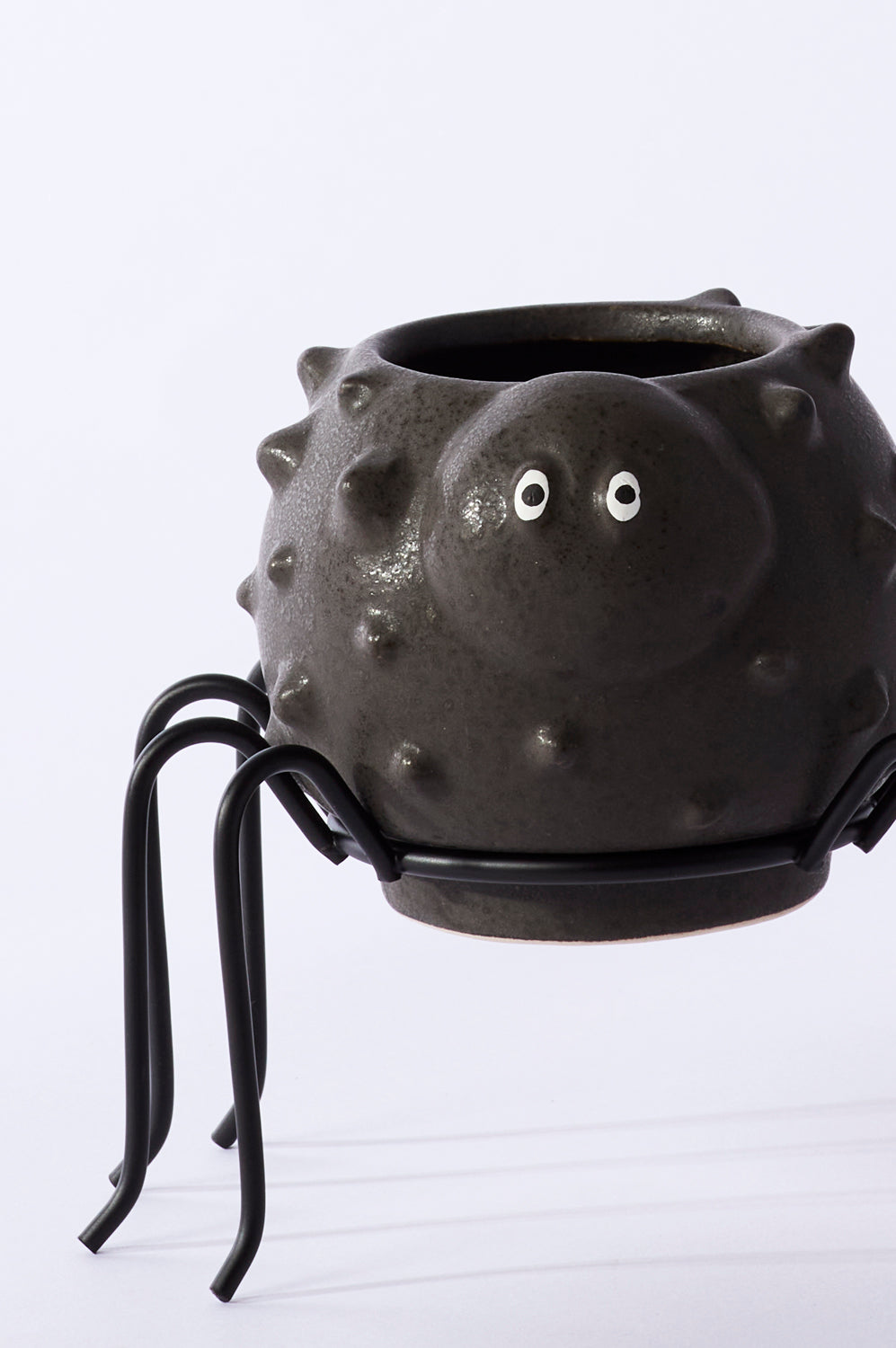Spider Succulent Pot