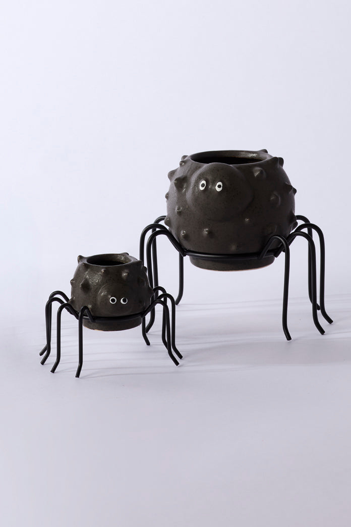 Spider Succulent Pot