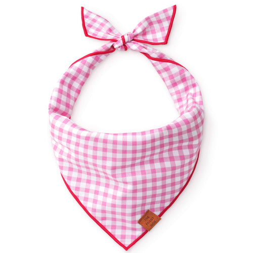 Dog Bandana - Hot Pink Gingham