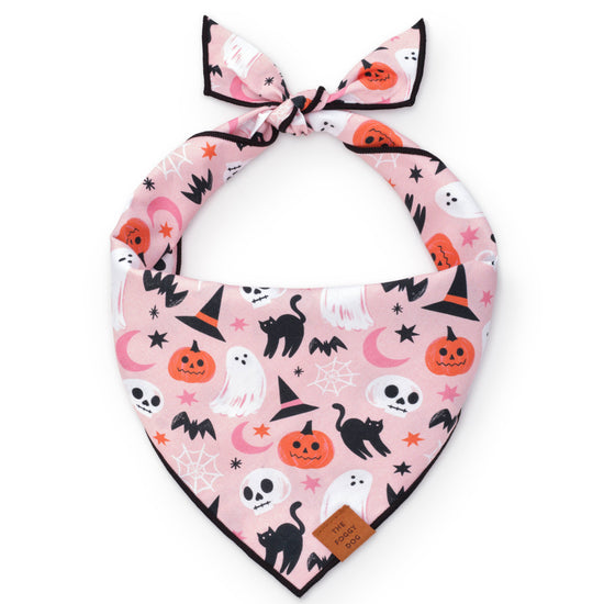 Dog Bandana - Bewitched Halloween