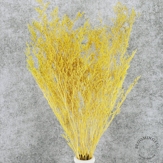[DRIED] Limonium Caspia - Yellow