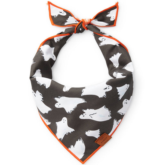 Be My Boo (Reversible) Halloween Dog Bandana