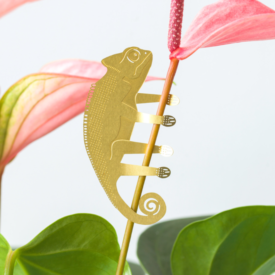 Brass Plant Decoration - Chameleon