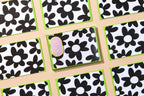 Oversized Daisies Notecard Set