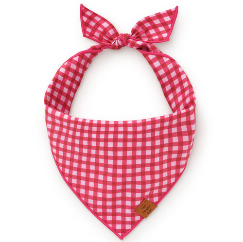 Dog Bandana - Raspberry Gingham